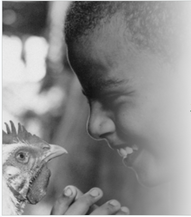 A young farmer smiling while holding a chicken.
